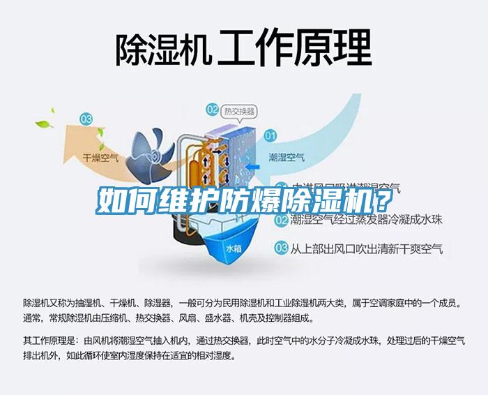 如何維護防爆91看片软件大全？