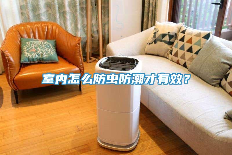 室內怎麽防蟲防潮才有效？