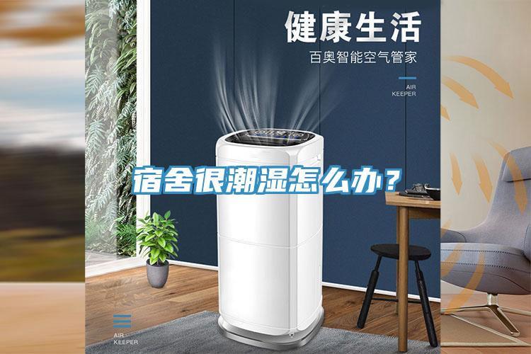 宿舍很潮濕怎麽辦？
