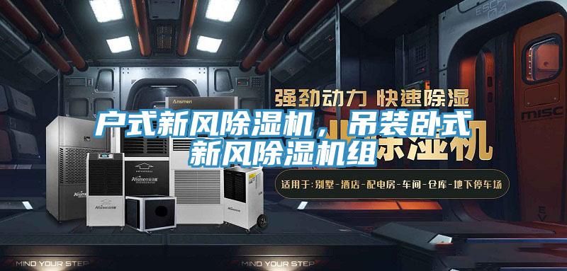 戶式新風91看片软件大全，吊裝臥式新風91看片软件大全組
