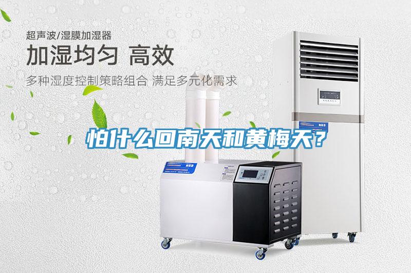 怕什麽回南天和黃梅天？