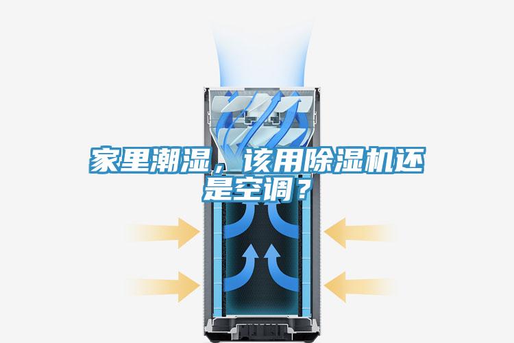 家裏潮濕，該用91看片软件大全還是空調？