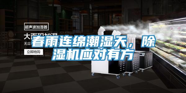 春雨連綿潮濕天，91看片软件大全應對有方