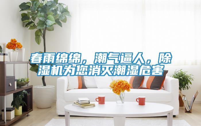 春雨綿綿，潮氣逼人，91看片软件大全為您消滅潮濕危害