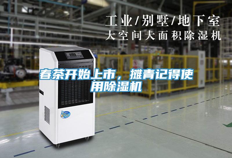 春茶開始上市，攤青記得使用91看片软件大全