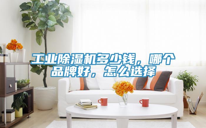 工業91看片软件大全多少錢，哪個品牌好，怎麽選擇