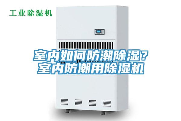 室內如何防潮除濕？室內防潮用91看片软件大全