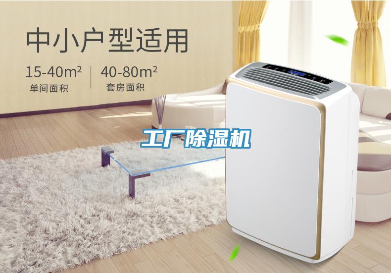 工廠91看片软件大全