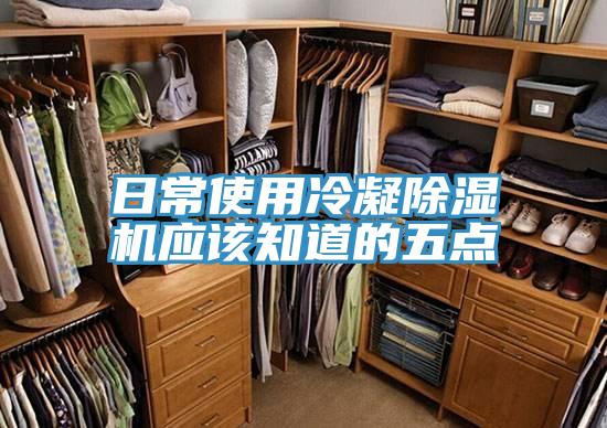 日常使用冷凝91看片软件大全應該知道的五點
