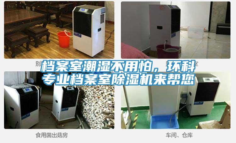 檔案室潮濕不用怕，環科專業檔案室91看片软件大全來幫您
