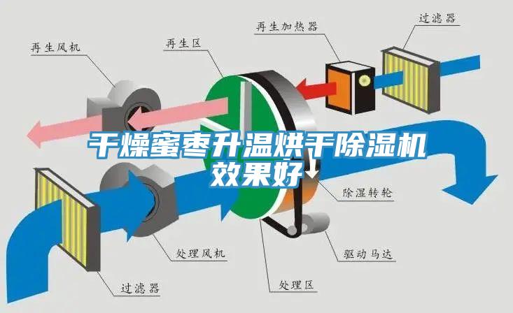幹燥蜜棗升溫烘幹91看片软件大全效果好
