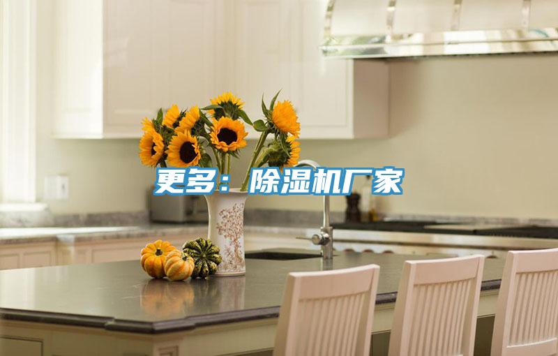 更多：91看片软件大全廠家