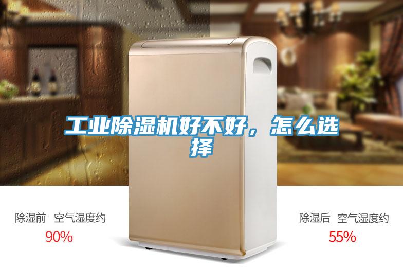 工業91看片软件大全好不好，怎麽選擇