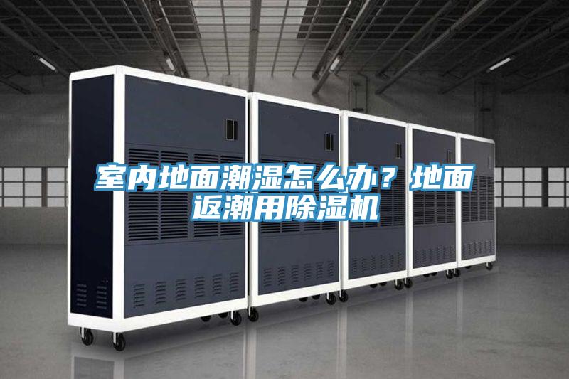 室內地麵潮濕怎麽辦？地麵返潮用91看片软件大全