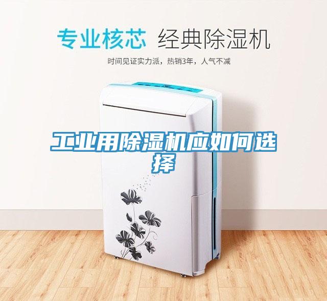 工業用91看片软件大全應如何選擇