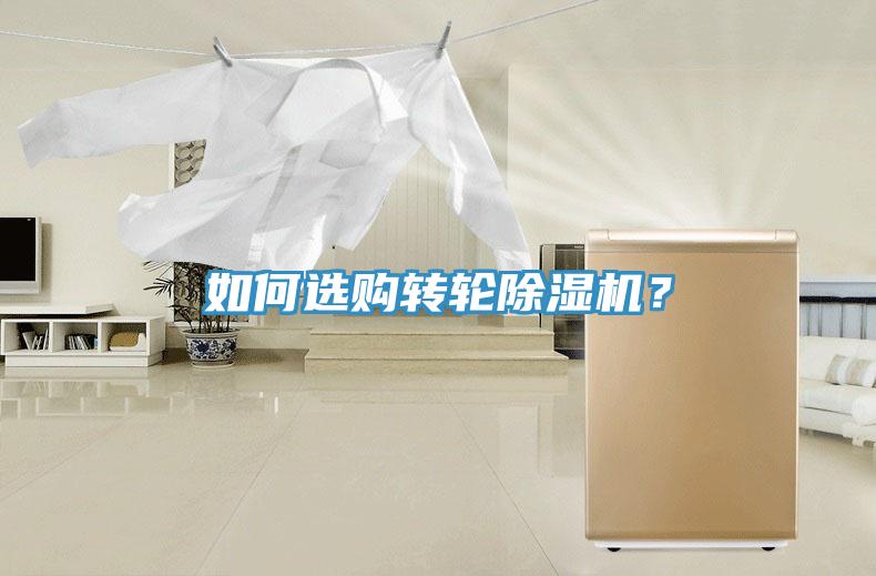 如何選購轉輪91看片软件大全？