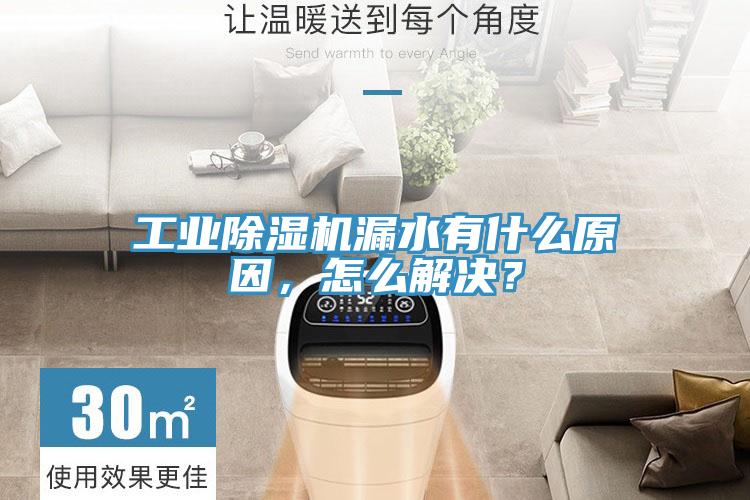 工業91看片软件大全漏水有什麽原因，怎麽解決？