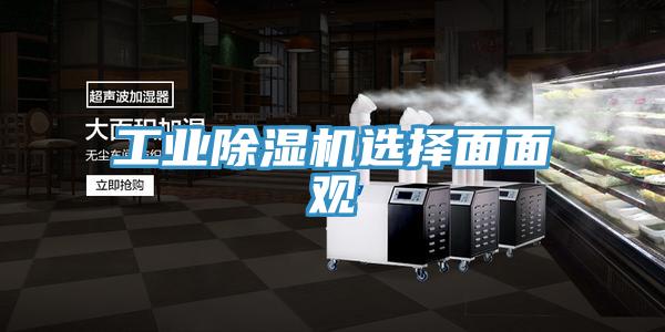 工業91看片软件大全選擇麵麵觀