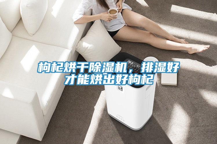 枸杞烘幹91看片软件大全，排濕好才能烘出好枸杞