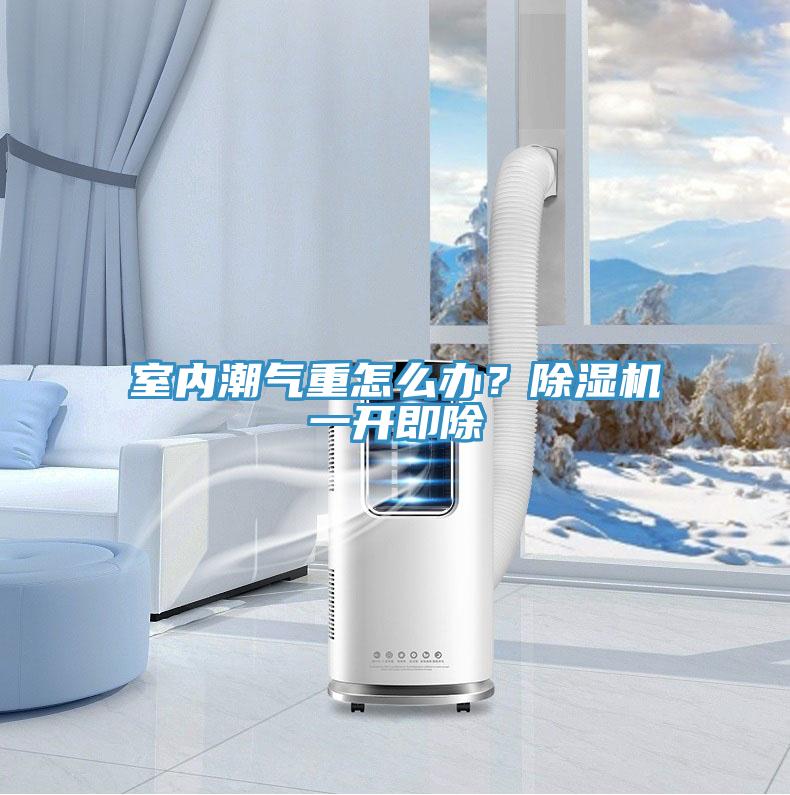 室內潮氣重怎麽辦？91看片软件大全一開即除