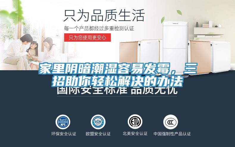 家裏陰暗潮濕容易發黴，三招助你輕鬆解決的辦法
