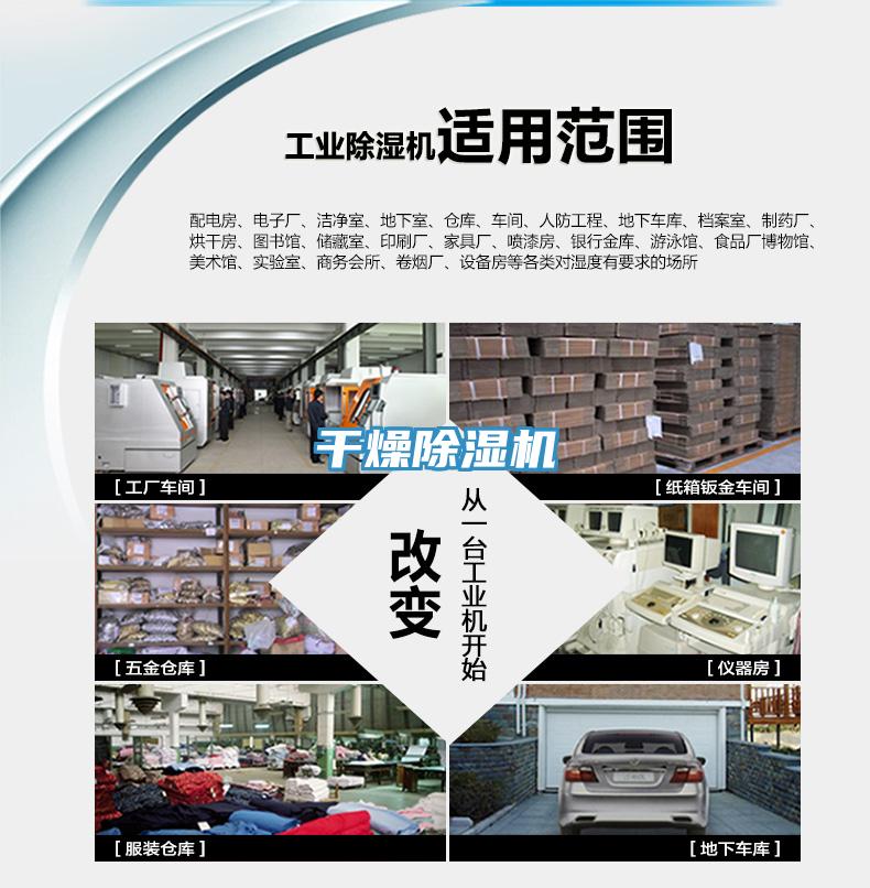 幹燥91看片软件大全