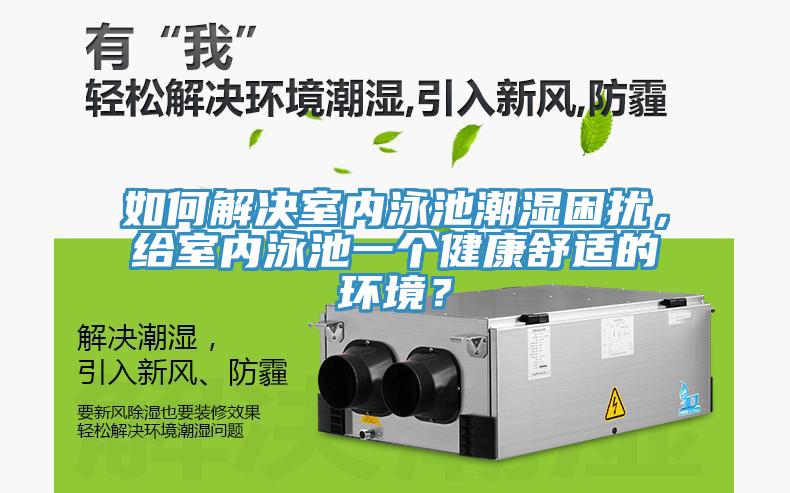 如何解決室內泳池潮濕困擾，給室內泳池一個健康舒適的環境？