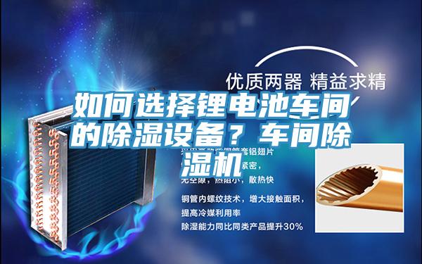 如何選擇鋰電池車間的除濕設備？車間91看片软件大全