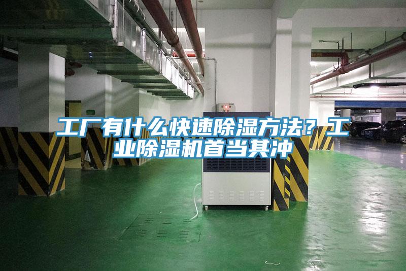 工廠有什麽快速除濕方法？工業91看片软件大全首當其衝
