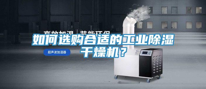 如何選購合適的工業除濕幹燥機？