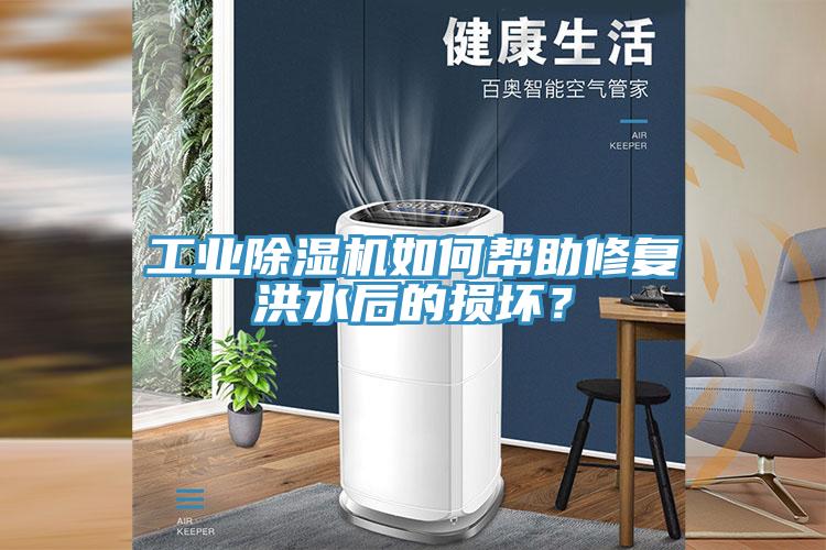 工業91看片软件大全如何幫助修複洪水後的損壞？