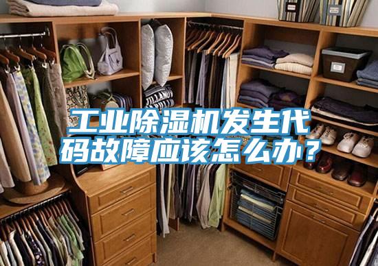 工業91看片软件大全發生代碼故障應該怎麽辦？