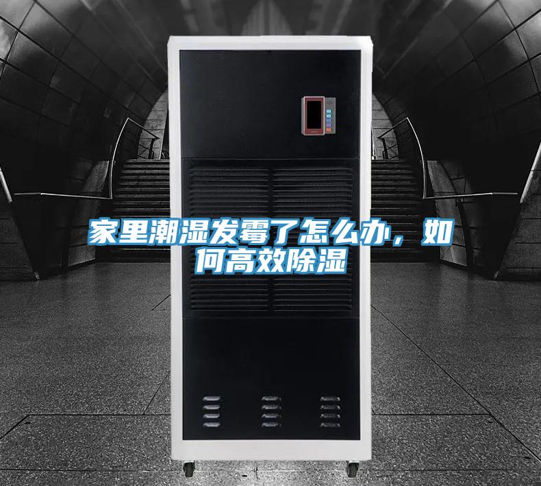 家裏潮濕發黴了怎麽辦，如何高效除濕