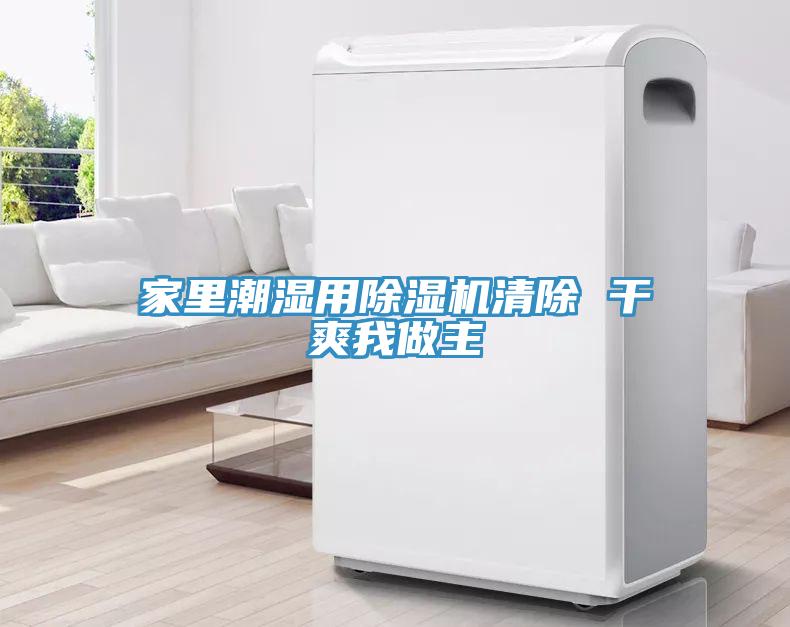家裏潮濕用91看片软件大全清除 幹爽我做主