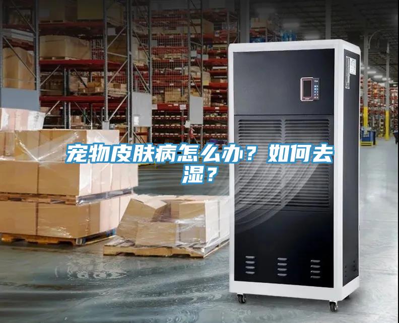 寵物皮膚病怎麽辦？如何去濕？