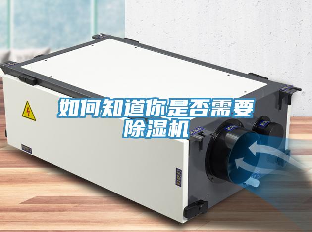 如何知道你是否需要91看片软件大全