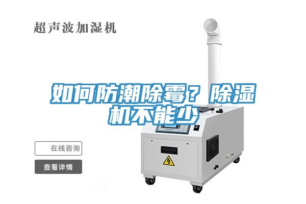 如何防潮除黴？91看片软件大全不能少