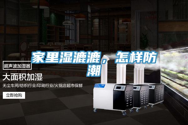 家裏濕漉漉，怎樣防潮