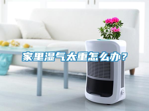 家裏濕氣太重怎麽辦？