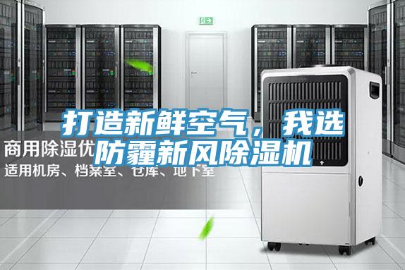 打造新鮮空氣，我選防霾新風91看片软件大全