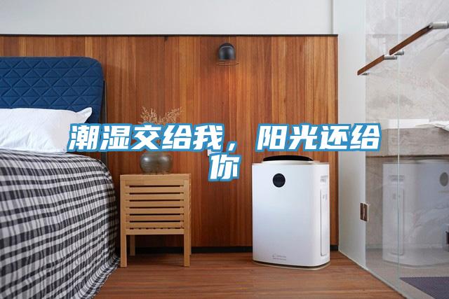潮濕交給我，陽光還給你