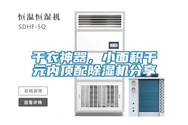 幹衣神器，小麵積千元內頂配91看片软件大全分享