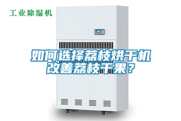 如何選擇荔枝烘幹機改善荔枝幹果？