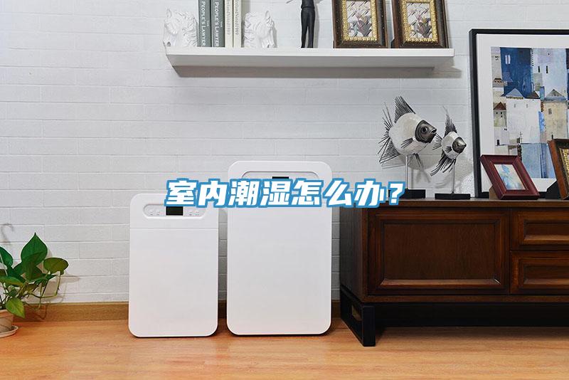 室內潮濕怎麽辦？