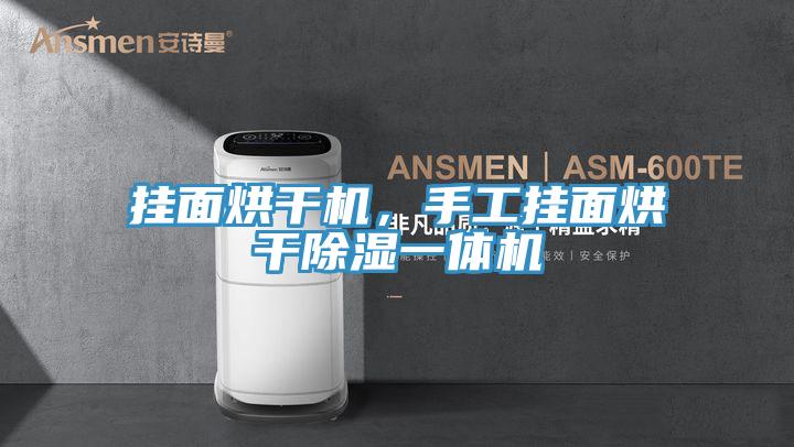 掛麵烘幹機，手工掛麵烘幹除濕一體機