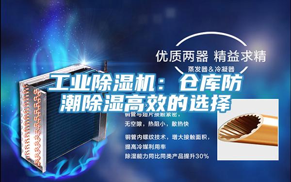 工業91看片软件大全：倉庫防潮除濕高效的選擇