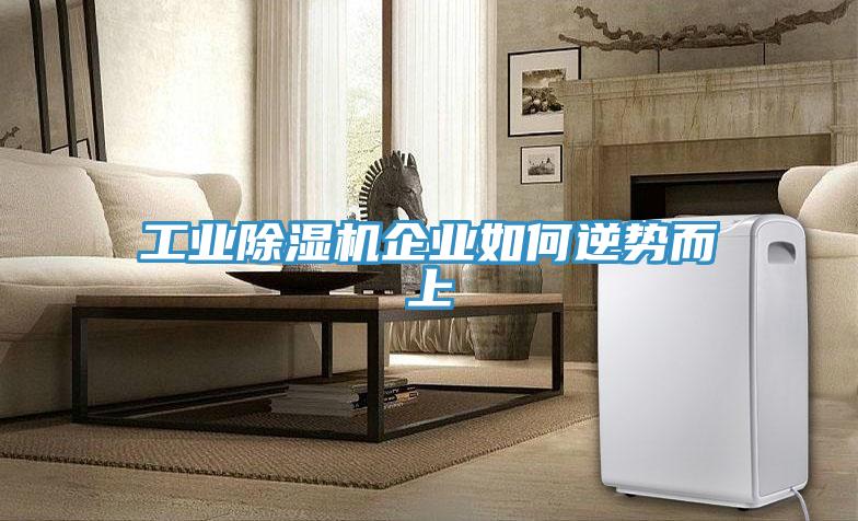 工業91看片软件大全企業如何逆勢而上