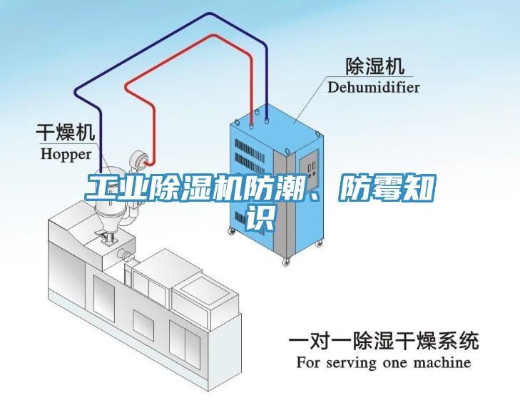 工業91看片软件大全防潮、防黴知識