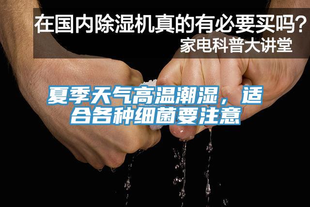 夏季天氣高溫潮濕，適合各種細菌要注意
