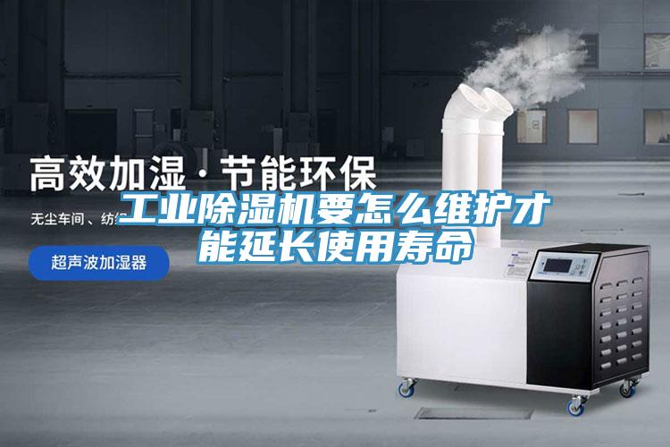 工業91看片软件大全要怎麽維護才能延長使用壽命